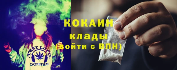 ГАЛЛЮЦИНОГЕННЫЕ ГРИБЫ Баксан