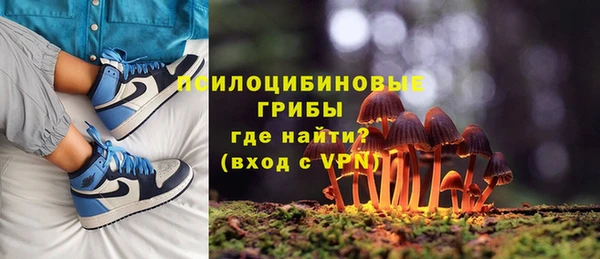 ГАЛЛЮЦИНОГЕННЫЕ ГРИБЫ Баксан