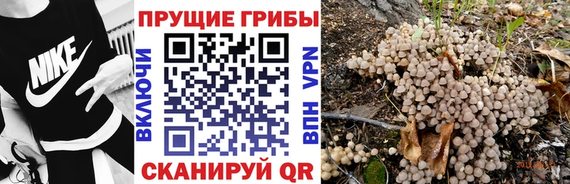 цена   это телеграм  Галлюциногенные грибы Psilocybine cubensis  Ревда 